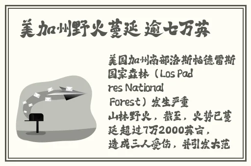 欧美精品XXXX